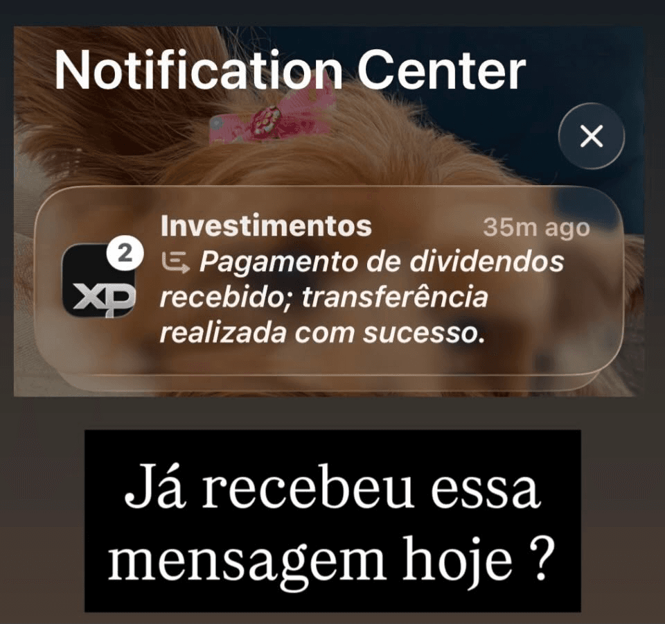 Dividendos: Quando o Dinheiro Começa a Trabalhar para Você